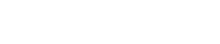 Logo Why Ignite